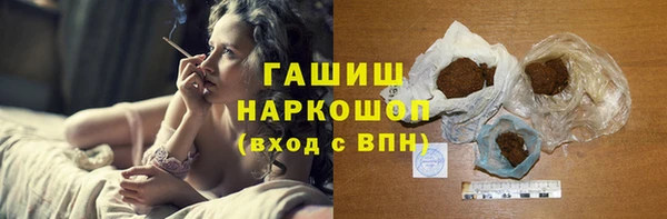 индика Бугульма