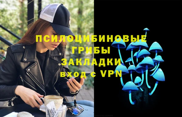 экстази Богородицк