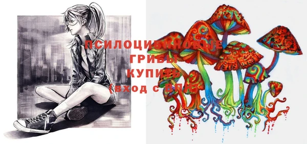 экстази Богородицк